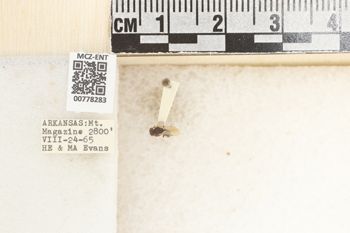 Media type: image;   Entomology 778283 Aspect: Labels